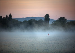 220802-001                    Bodman, Morgenstimmung am Ried