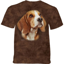 Hund Beagle Portrait
