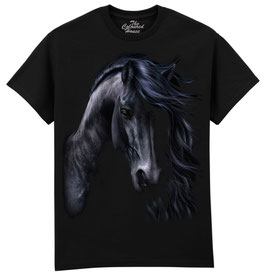 Pferd Black Horse
