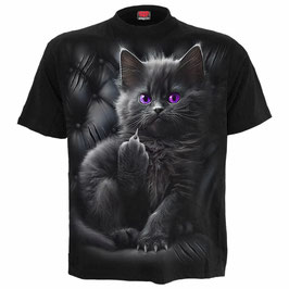 Büsi Cattitude