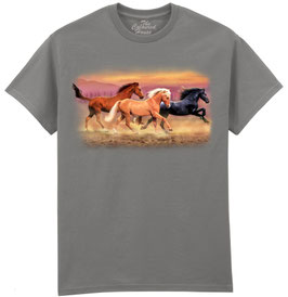 Pferd Running Free Horses TCH
