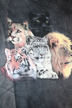 Panther Puma Tiger Snowleopard Lion Collage