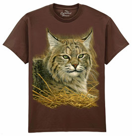 Luchs Lynx
