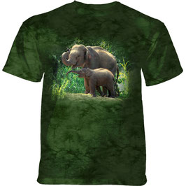 Elefant Mit Baby Grün