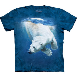 Bär Polar Dive