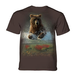 Bär Fishing