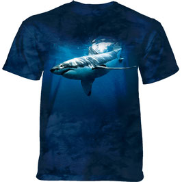 Hai Deep Blue Shark