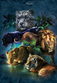 Big Cats Jungle