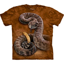 Schlange Rattlesnake