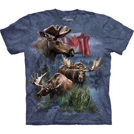 Elch Canadien Moose Collection