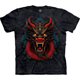 Drache Scales