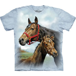Pferd mit Jungem Hellblau