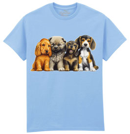 Hunde Young Dogs TCH
