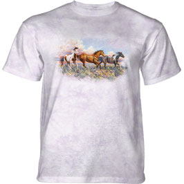 Pferd Race With The Wind