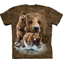 Find 10 Bears