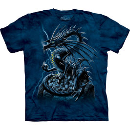 Drache Skull Blue