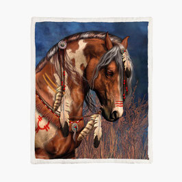 Decke Pferd Indian