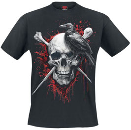 Raven Death