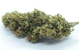 Slow Weed CBD Blüten Outdoor Kush