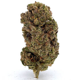 CBD V-Plus