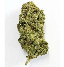 CBD Melon Haze
