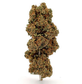 CBD Tutti Frutti