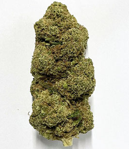 CBD  Tribe Dreams