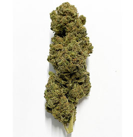 CBD TNT Kush