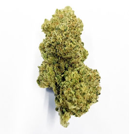 CBD  Gorilla Glue