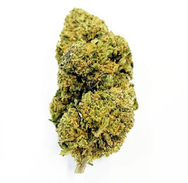 CBD  Critical Kush
