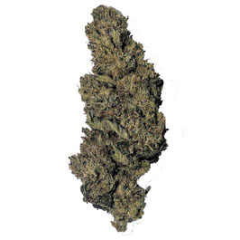 CBD Blue Sweet Star