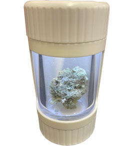 Blütenshow Aufbewahrungsdose LED (Glowin Jar)