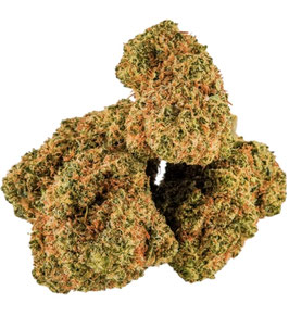 CBD HPP