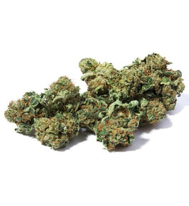 CBD White Widow