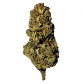 CBD California Haze