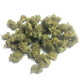 CBD  C99 - 20g (Kleine Blüten)