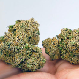 CBD Blue Gelato
