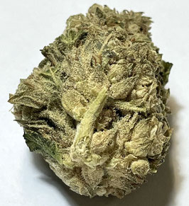 CBD  1024
