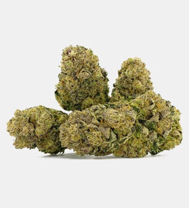 CBD  Habanero Kush