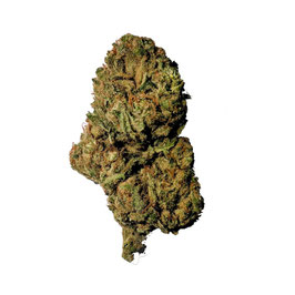 CBD Harmony