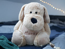 Hund