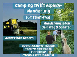 Camping mit Alpaka-Wanderung