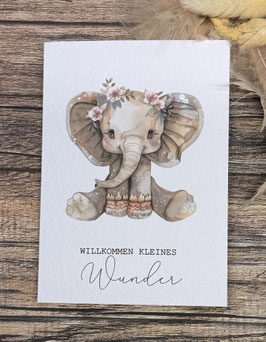 Willkommen kleines Wunder A6 ELEFANT