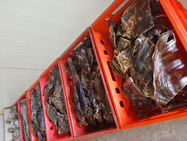 1 kg Wild-Mix Premium für kleinere Hunde