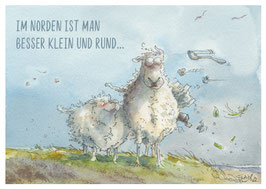 Im Norden ist man besser klein und rund…