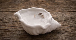 Muschelkerze