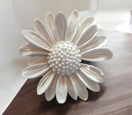 Blume
