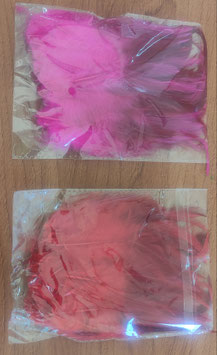 Plumas para poteras