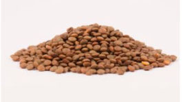 Lentillons du Perche Bio 500gr en VRAC