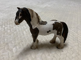 pferd